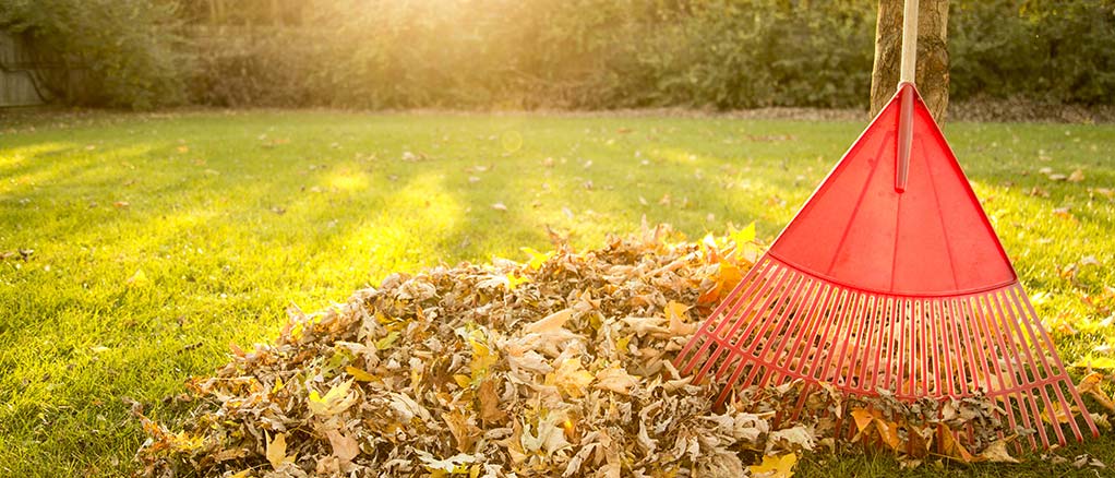 How Do Leaves Affect Your HVAC System? - Total Mechanical Systems