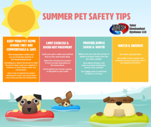 Summer Pet Safety 