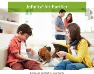 air purification furry friends